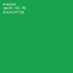 #19A34E - Eucalyptus Color Image