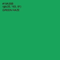 #19A35B - Green Haze Color Image