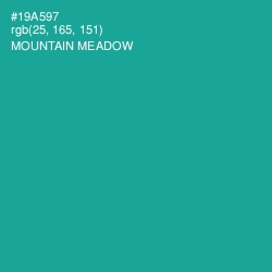 #19A597 - Mountain Meadow Color Image