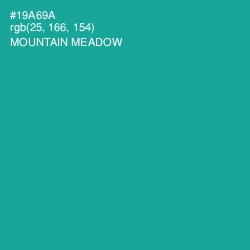 #19A69A - Mountain Meadow Color Image