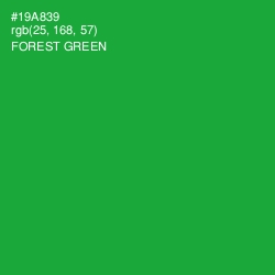 #19A839 - Forest Green Color Image