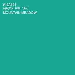 #19A893 - Mountain Meadow Color Image