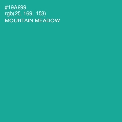 #19A999 - Mountain Meadow Color Image