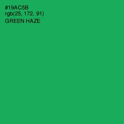 #19AC5B - Green Haze Color Image