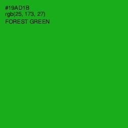 #19AD1B - Forest Green Color Image