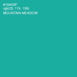 #19AE9F - Mountain Meadow Color Image