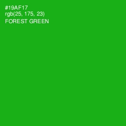 #19AF17 - Forest Green Color Image