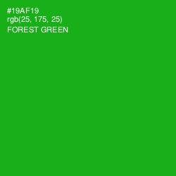 #19AF19 - Forest Green Color Image