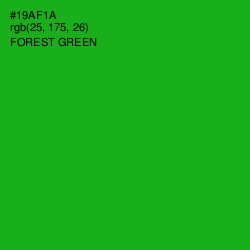 #19AF1A - Forest Green Color Image