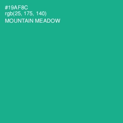 #19AF8C - Mountain Meadow Color Image