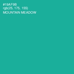 #19AF9B - Mountain Meadow Color Image