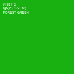 #19B112 - Forest Green Color Image