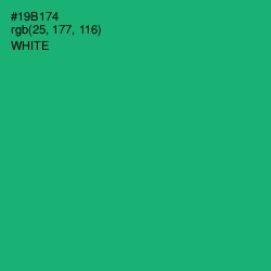 #19B174 - Jade Color Image