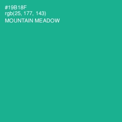 #19B18F - Mountain Meadow Color Image