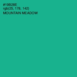 #19B28E - Mountain Meadow Color Image