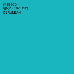 #19B6C0 - Cerulean Color Image