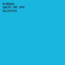 #19B6E0 - Scooter Color Image
