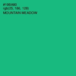 #19BA80 - Mountain Meadow Color Image