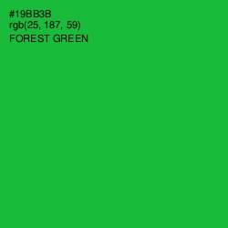 #19BB3B - Forest Green Color Image