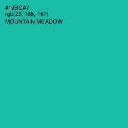 #19BCA7 - Mountain Meadow Color Image