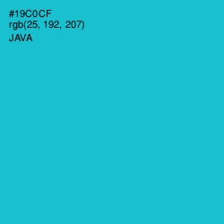#19C0CF - Java Color Image
