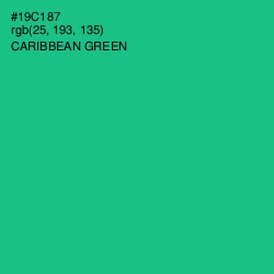 #19C187 - Caribbean Green Color Image