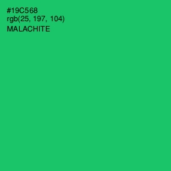 #19C568 - Malachite Color Image