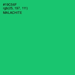 #19C56F - Malachite Color Image