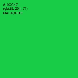 #19CC47 - Malachite Color Image