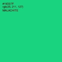 #19D37F - Malachite Color Image