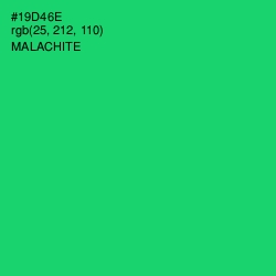 #19D46E - Malachite Color Image