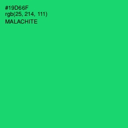 #19D66F - Malachite Color Image