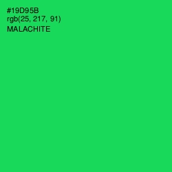 #19D95B - Malachite Color Image