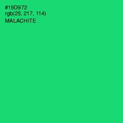 #19D972 - Malachite Color Image