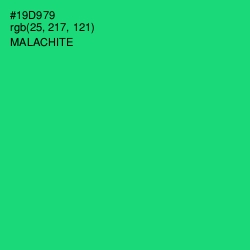 #19D979 - Malachite Color Image