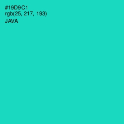 #19D9C1 - Java Color Image