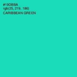 #19DBBA - Caribbean Green Color Image