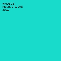 #19DBCB - Java Color Image