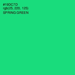 #19DC7D - Spring Green Color Image