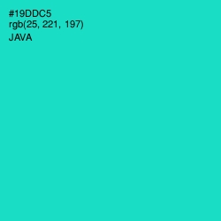 #19DDC5 - Java Color Image
