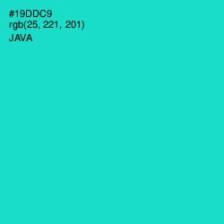 #19DDC9 - Java Color Image