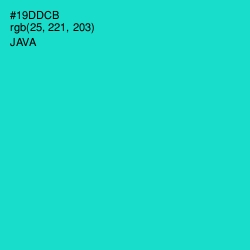 #19DDCB - Java Color Image