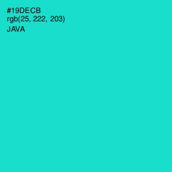 #19DECB - Java Color Image