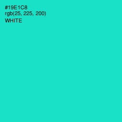 #19E1C8 - Bright Turquoise Color Image
