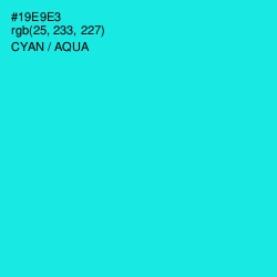 #19E9E3 - Cyan / Aqua Color Image