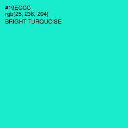 #19ECCC - Bright Turquoise Color Image