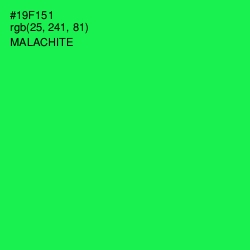 #19F151 - Malachite Color Image