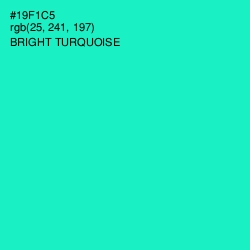 #19F1C5 - Bright Turquoise Color Image