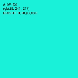 #19F1D9 - Bright Turquoise Color Image