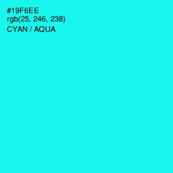 #19F6EE - Cyan / Aqua Color Image